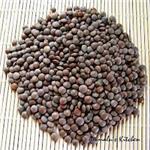 Masoor Dal Whole